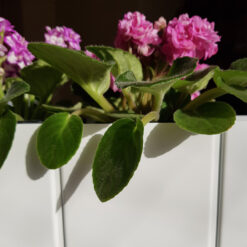 Floreira Trevi – Lemma Artefatos